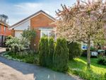 Thumbnail for sale in Parkers Close, Bristol, Somerset