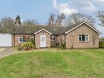 Thumbnail for sale in Hardley Road, Chedgrave