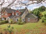 Thumbnail for sale in St. Lawrence Avenue, Bidborough, Tunbridge Wells, Kent