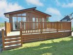 Thumbnail for sale in Alderney Park, Barton On Sea