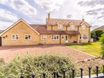 Thumbnail to rent in Della Pace, Butterwick