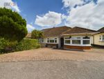Thumbnail for sale in Willow Walk, Hockley, Essex