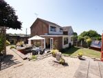 Thumbnail to rent in Haywards Lane, Corfe Mullen, Wimborne, Dorset