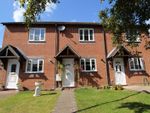 Thumbnail to rent in Chase Farm Close, Waltham Chase, Southampton