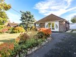 Thumbnail for sale in Crescent Road, North Baddesley, Southampton, Hampshire
