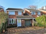 Thumbnail for sale in Stanford Rise, Sway, Lymington, Hampshire
