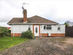 Thumbnail to rent in Gotch Road, Barton Seagrave, Barton Seagrave