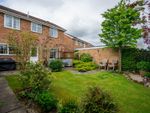 Thumbnail for sale in Eden Close, York
