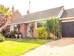 Thumbnail for sale in Pightle Way, Lyng, Norwich