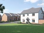 Thumbnail to rent in "Sage Home" at Chard Road, Axminster