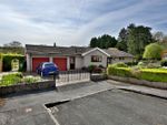 Thumbnail for sale in Lime Trees Avenue, Llangattock, Crickhowell