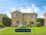 Thumbnail to rent in The Spinney, Swanland, North Ferriby