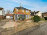 Thumbnail for sale in Aragon Road, Great Leighs, Chelmsford