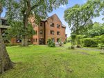 Thumbnail for sale in High Oaks House, High Oaks Close, Locks Heath, Hampshire