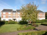 Thumbnail to rent in St. Lukes Square, Guildford