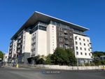 Thumbnail to rent in Albert Road, Plymouth