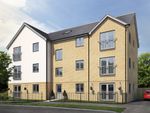 Thumbnail to rent in "The Cedar" at Chamberlain Way, Peterborough