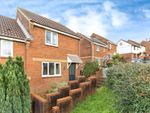 Thumbnail for sale in Kingfisher Close, Torquay, Devon