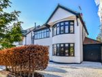 Thumbnail for sale in Mount Avenue, Westcliff-On-Sea