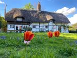 Thumbnail to rent in Tichborne, Alresford, Hampshire