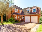 Thumbnail to rent in Kingsley Court, Welwyn Garden City, Hertfordshire