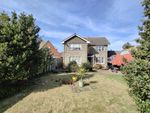 Thumbnail to rent in Witbank Gardens, Shanklin