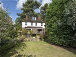 Thumbnail to rent in Crescent Road, Kingston Upon Thames