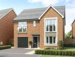 Thumbnail to rent in "The Clermont" at Acacia Lane, Branston, Burton-On-Trent