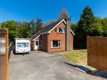 Thumbnail for sale in 5 Fairfield Road, Bangor, County Down
