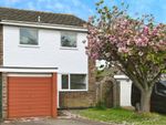 Thumbnail to rent in St. Andrews Road, Scole, Diss