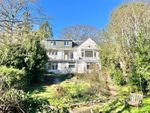 Thumbnail for sale in Sycamore Close, Milford On Sea, Lymington, Hampshire