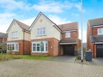 Thumbnail to rent in Hawker Grove, Middleton St. George, Darlington, Durham