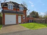 Thumbnail for sale in Gladys Avenue, Cowplain, Waterlooville