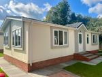 Thumbnail to rent in Waterend Park, Old Basing, Basingstoke