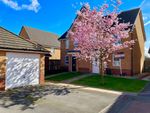 Thumbnail to rent in Whitmoore Drive, Auckley, Doncaster