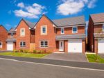 Thumbnail to rent in "Hale" at Southern Cross, Wixams, Bedford