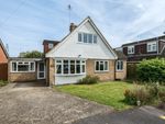 Thumbnail to rent in Whitewater Rise, Hook, Hampshire