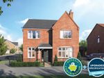Thumbnail to rent in "The Aspen" at Burdock Street, Corby