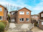 Thumbnail for sale in Newton Close, Harpenden, Hertfordshire