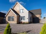 Thumbnail for sale in Mcloughlin Way, Sutterton, Boston