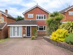 Thumbnail to rent in Montacute Way, Uckfield