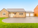 Thumbnail for sale in 14 Hickory Close, Wignals Wood, Holbeach, Spalding, Lincolnshire