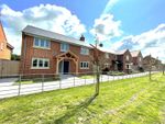 Thumbnail for sale in The Causeway, Hazelbury Bryan, Sturminster Newton