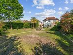 Thumbnail for sale in Sheepfold Road, Guildford