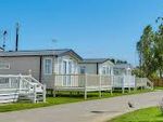 Thumbnail for sale in California Cliffs Holiday Park, Scratby, Great Yarmouth