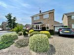 Thumbnail for sale in Towning Close, Deeping St. James, Peterborough