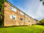 Thumbnail for sale in Broomhall Road, Collegiate