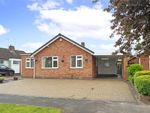 Thumbnail for sale in Chestnut Road, Glenfield, Leicester, Leicestershire