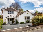 Thumbnail for sale in Cranley Road, Guildford, Surrey