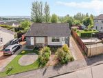 Thumbnail for sale in Nevis Crescent, Alloa